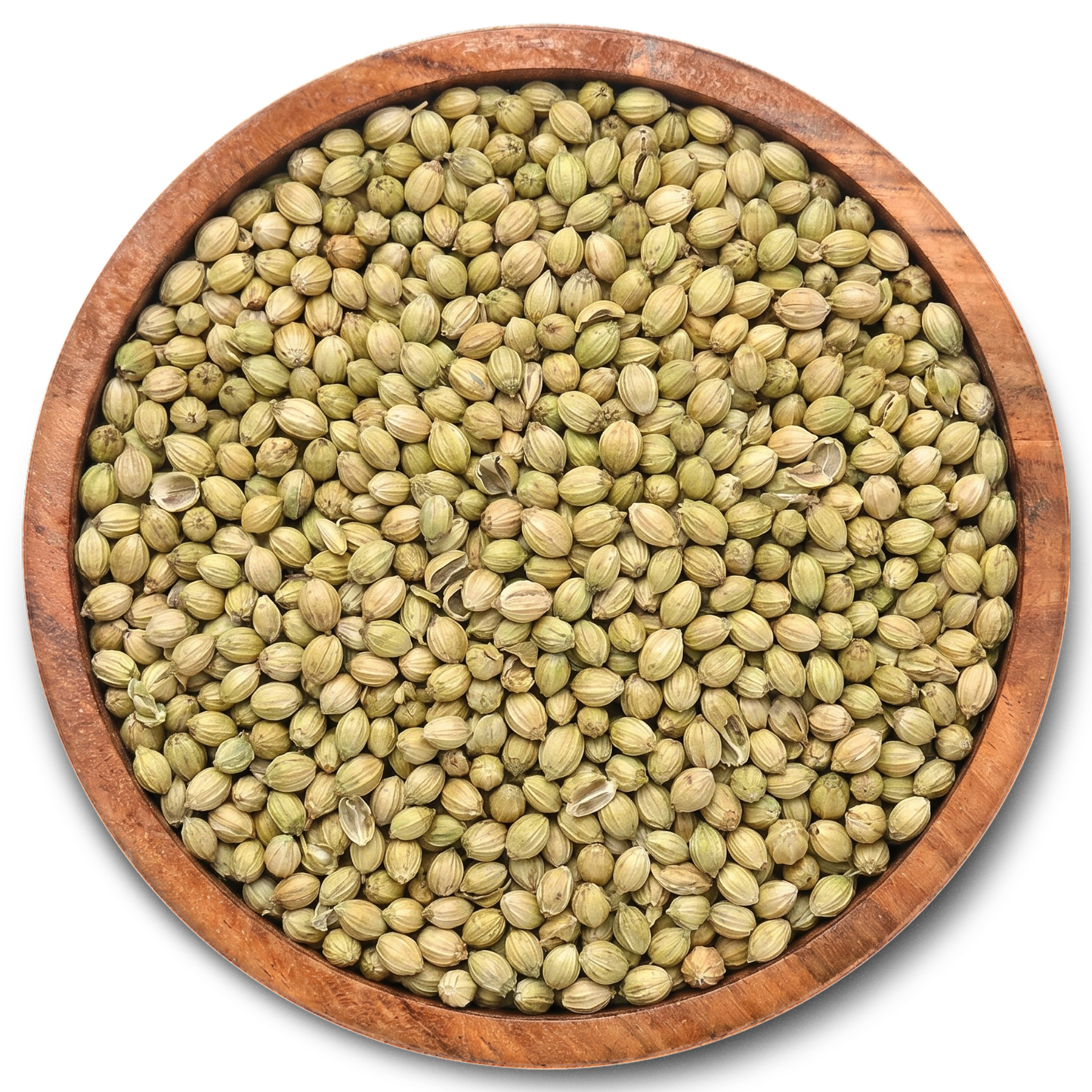 Coriander Seeds (Dhania Seeds)
