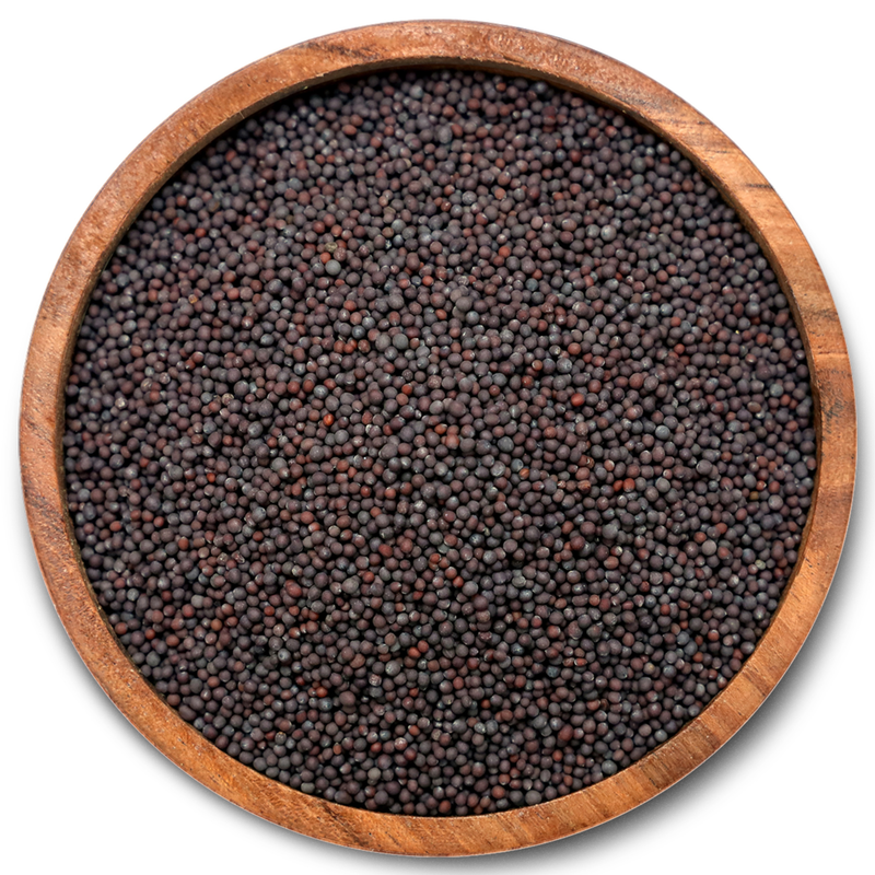Graines de moutarde entières