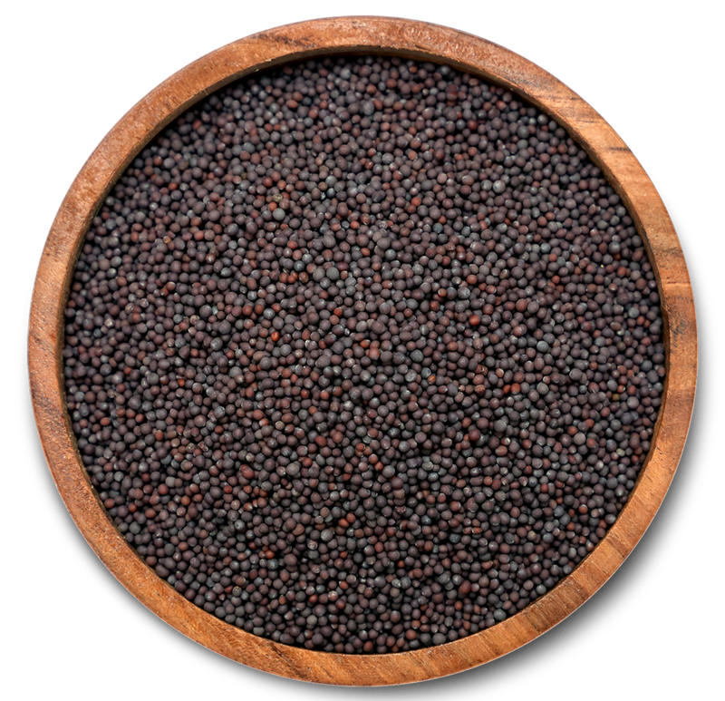 Whole Mustard Seeds